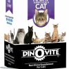 Cat Vitamins & Supplements * | Store Dinovite Daily Nutritional Supplement For Cats, 12.2-Oz Box