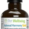 Cat Vitamins & Supplements * | Shop Pet Wellbeing Adrenal Harmony Gold Bacon Flavored Liquid Hormonal Supplement For Dogs & Cats, 2-Oz Bottle