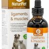 Cat Vitamins & Supplements * | Discount Naturpet Ligament & Muscles Pet Supplement, 100-Ml Bottle