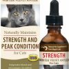 Cat Vitamins & Supplements * | New Wapiti Labs Strength Formula For Peak Condition Cat Supplement, 2-Oz Bottle