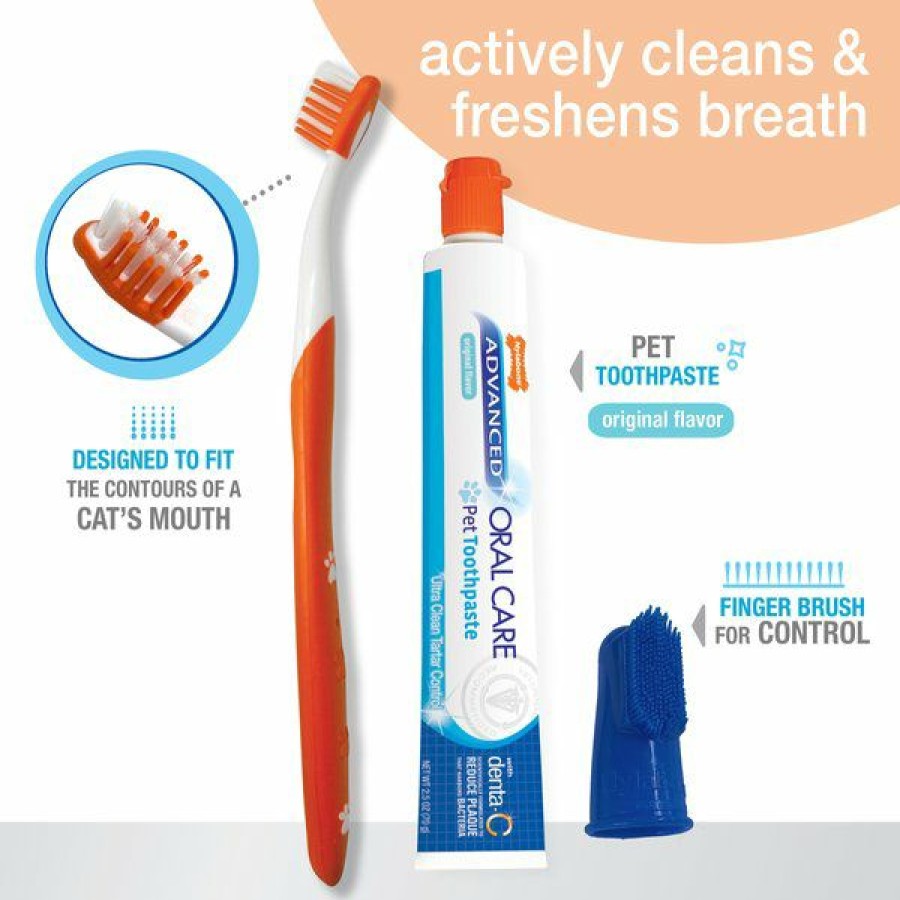 Cat Healthcare * | Shop Nylabone Advanced Oral Care Original Flavor Cat Dental Kit