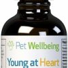 Cat Vitamins & Supplements * | Shop Pet Wellbeing Young At Heart Bacon Flavored Liquid Heart Supplement For Dogs & Cats