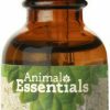 Cat Vitamins & Supplements * | Shop Animal Essentials Seasonal Allergy Herbal Formula Dog & Cat Supplement