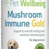 Cat Vitamins & Supplements * | Outlet Pet Wellbeing Mushroom Immune Gold Bacon Flavored Liquid Immune Supplement For Cats & Dogs, 8-Oz Bottle