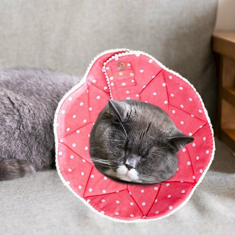 Cat Healthcare * | Shop Sungrow Post-Surgery Soft Cone Dog & Cat Recovery Collar, Pink, Medium