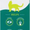 Cat Healthcare * | Limited Edition Bserene Pheromone & Catnip Oil Calming Spray For Cats, 2-Oz