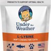 Cat Vitamins & Supplements * | Store Under The Weather L-Lysine Soft Chews Cat Supplement, 60 Count