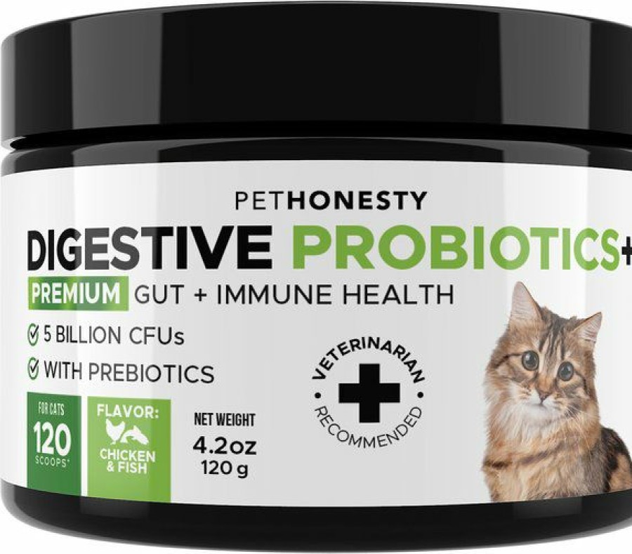 Cat Vitamins & Supplements * | Limited Edition Pethonesty Digestive Probiotics+ Premium Gut + Immune Health Cat Supplement, 4.2-Oz Bottle