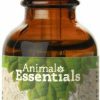 Cat Vitamins & Supplements * | Limited Edition Animal Essentials Joint Support Dog & Cat Supplement