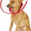 Cat Healthcare * | New Alfie Pet Zumi Soft Edge Velcro Closure Dog & Cat Recovery Collar