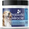 Cat Vitamins & Supplements * | New Nusentia Probiotic Miracle Premium Blend Dog & Cat Supplement