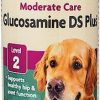 Cat Vitamins & Supplements * | Limited Edition Naturvet Moderate Care Glucosamine Ds Plus Liquid Joint Supplement For Cats & Dogs