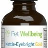 Cat Vitamins & Supplements * | Discount Pet Wellbeing Nettle-Eyebright Gold Bacon Flavored Liquid Allergy Supplement For Dogs & Cats, 2-Oz Bottle