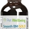 Cat Vitamins & Supplements * | New Pet Wellbeing Smooth Bm Gold Bacon Flavored Liquid Digestive Supplement For Cats & Dogs