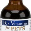 Cat Vitamins & Supplements * | Shop Rx Vitamins Hepato Liquid Liver Supplement For Cats & Dogs, 4-Oz