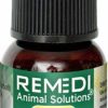 Cat Vitamins & Supplements * | Store Remedi Animal Solutions Cat-13 Nervousness Relief Cat Supplement, 1-Oz Bottle