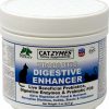 Cat Vitamins & Supplements * | Outlet Nature'S Farmacy Catzymes Probiotic Digestive Enhancer Cat Supplement, 8-Oz Jar