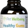 Cat Vitamins & Supplements * | Shop Pet Wellbeing Healthy Gums Liquid Dental Supplement For Cats & Dogs