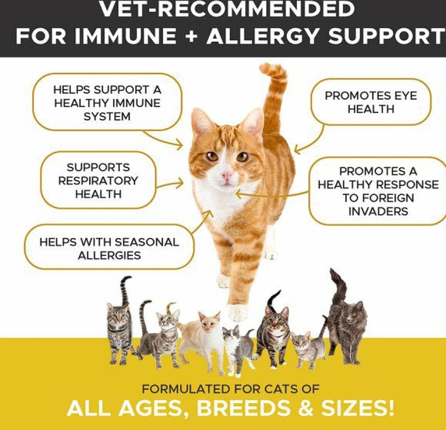 Cat Vitamins & Supplements * | Shop Pethonesty Lysine Immune Health+ Tuna & Chicken Flavored Powder Immune Supplement For Cats, 4.2-Oz Bottle