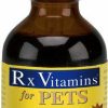 Cat Vitamins & Supplements * | Shop Rx Vitamins Hepato Chicken Flavored Liquid Liver Supplement For Cats & Dogs, 4-Oz Bottle