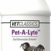 Cat Vitamins & Supplements * | Store Vetclassics Pet-A-Lyte Oral Electrolyte Solution Dog & Cat Supplement, 32-Oz Bottle