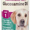 Cat Vitamins & Supplements * | Discount Naturvet Maintenance Care Glucosamine Ds Liquid Joint Supplement For Cats & Dogs