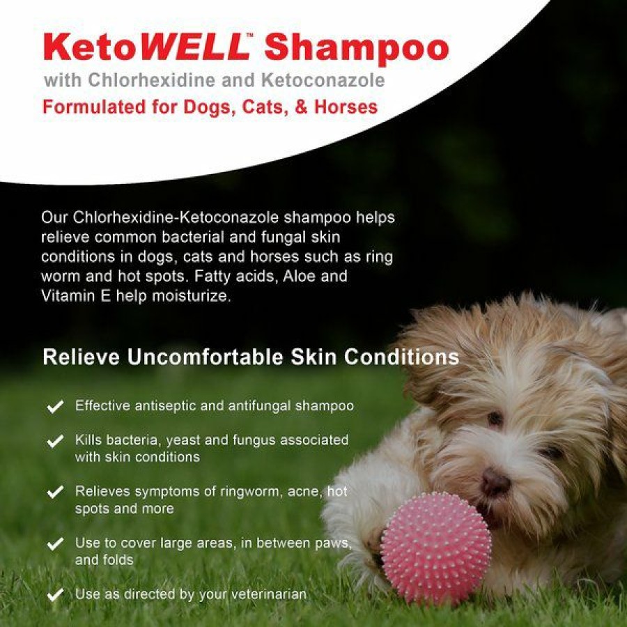 Cat Healthcare * | Shop Vetwell Ketowell Antiseptic Dog, Cat & Horse Shampoo