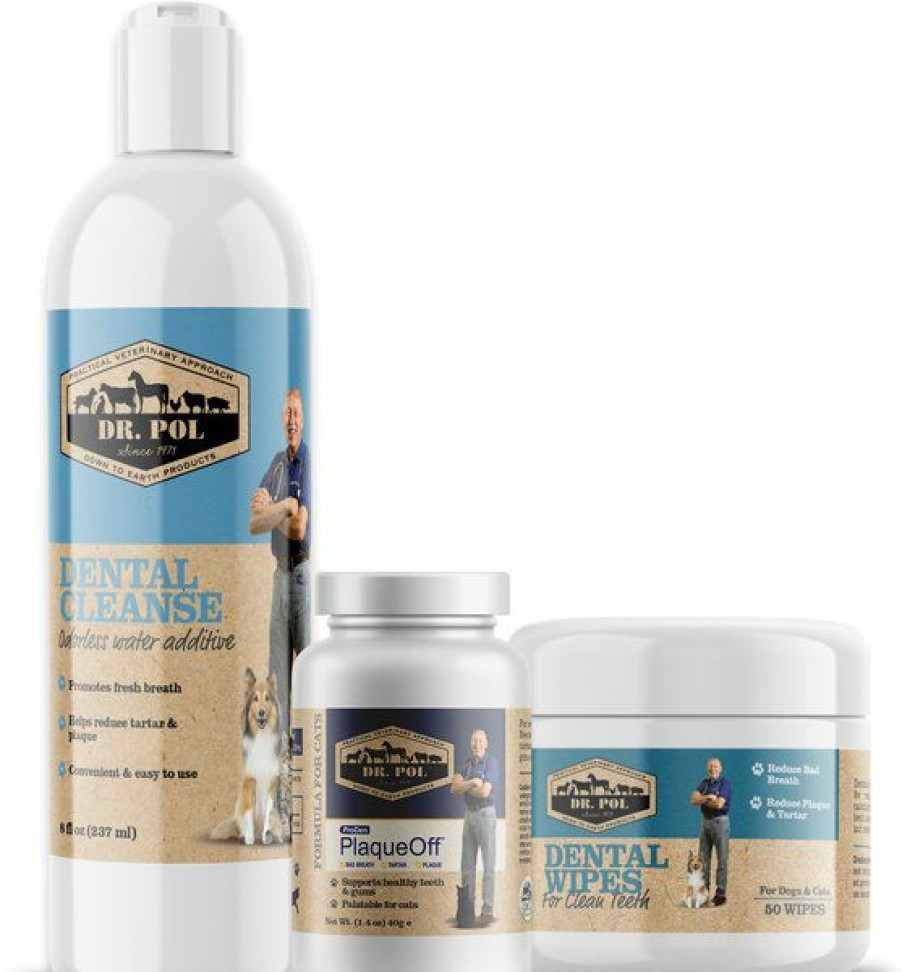 Cat Healthcare * | Limited Edition Dr. Pol Cat Dental Care Bundle