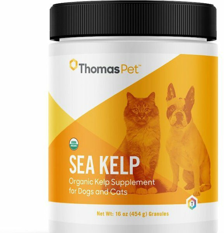 Cat Vitamins & Supplements * | Discount Thomas Labs C Kelp Organic Powder Dog & Cat Supplement, 16-Oz Jar