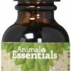 Cat Vitamins & Supplements * | Outlet Animal Essentials Body Cleanse Liver Support Dog & Cat Supplement, 1-Oz Bottle