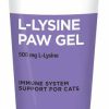 Cat Vitamins & Supplements * | Discount Vet Worthy L-Lysine Paw Gel Salmon Flavored Gel Immune Supplement For Cats, 3-Oz Tube