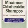 Cat Grooming * | New Davis Maximum Chlorhexidine Dog & Cat Shampoo, 12-Oz Bottle