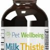 Cat Vitamins & Supplements * | Outlet Pet Wellbeing Milk Thistle Bacon Flavored Liquid Liver Supplement For Dogs & Cats, 2-Oz Bottle