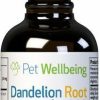 Cat Vitamins & Supplements * | New Pet Wellbeing Dandelion Root Bacon Flavored Liquid Digestive & Liver Supplement For Cats & Dogs