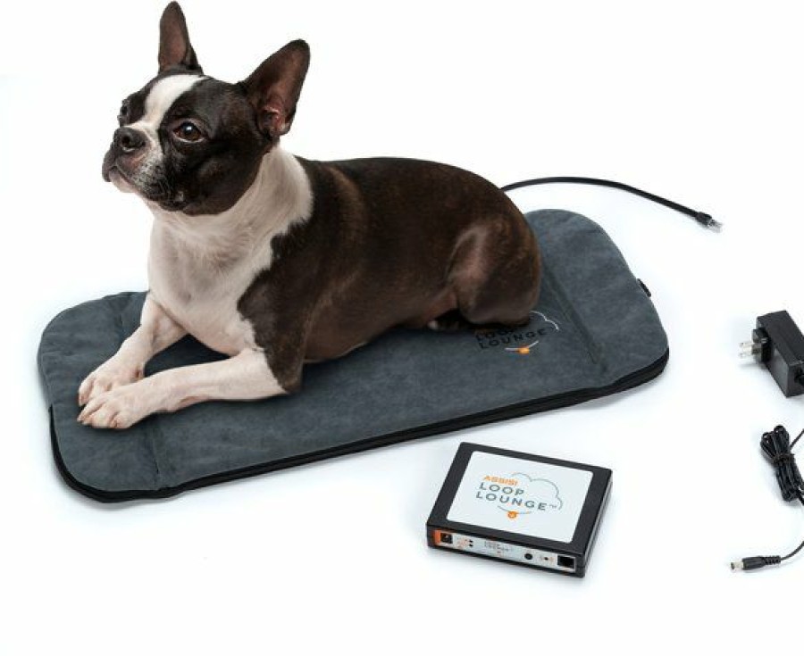 Cat Healthcare * | Discount Assisi Animal Health Loop Lounge Tpemf Dog & Cat System