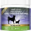 Cat Vitamins & Supplements * | Discount Ample Nutrition High Potency Daily Digestive Enzymes Dog & Cat Supplement, 7.05-Oz Jar