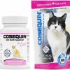 Cat Vitamins & Supplements * | Outlet Bundle: Nutramax Cosequin Chicken Flavored Capsules Joint Supplement For Cats, 80 Count + Nutramax Cosequin Soft Chews Joint Supplement For Cats, 60 Count