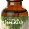 Cat Vitamins & Supplements * | Limited Edition Animal Essentials Healthy Gut Herbal Prebiotic Dog & Cat Supplement, 1-Oz Bottle