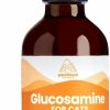 Cat Vitamins & Supplements * | Shop Paramount Pet Health Glucosamine Cat Supplement, 2-Oz Bottle