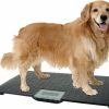 Cat Healthcare * | Shop Redmon Precision Digital Pet Scale, Large