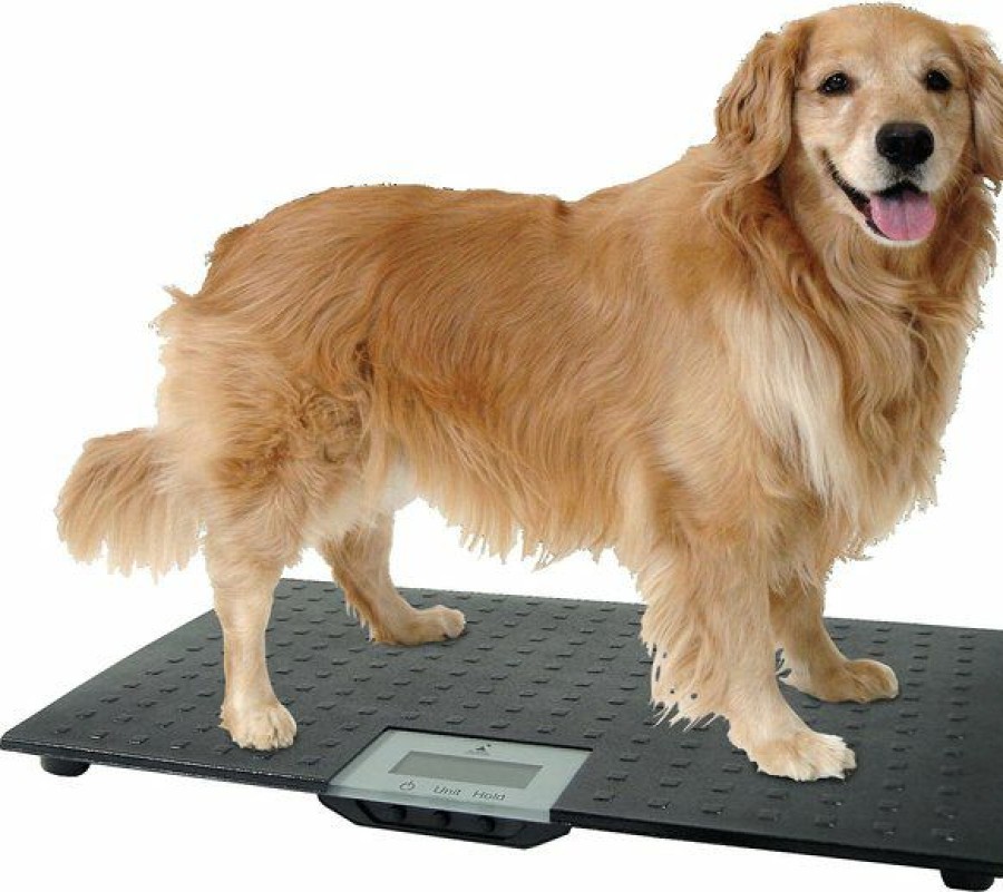 Cat Healthcare * | Shop Redmon Precision Digital Pet Scale, Large