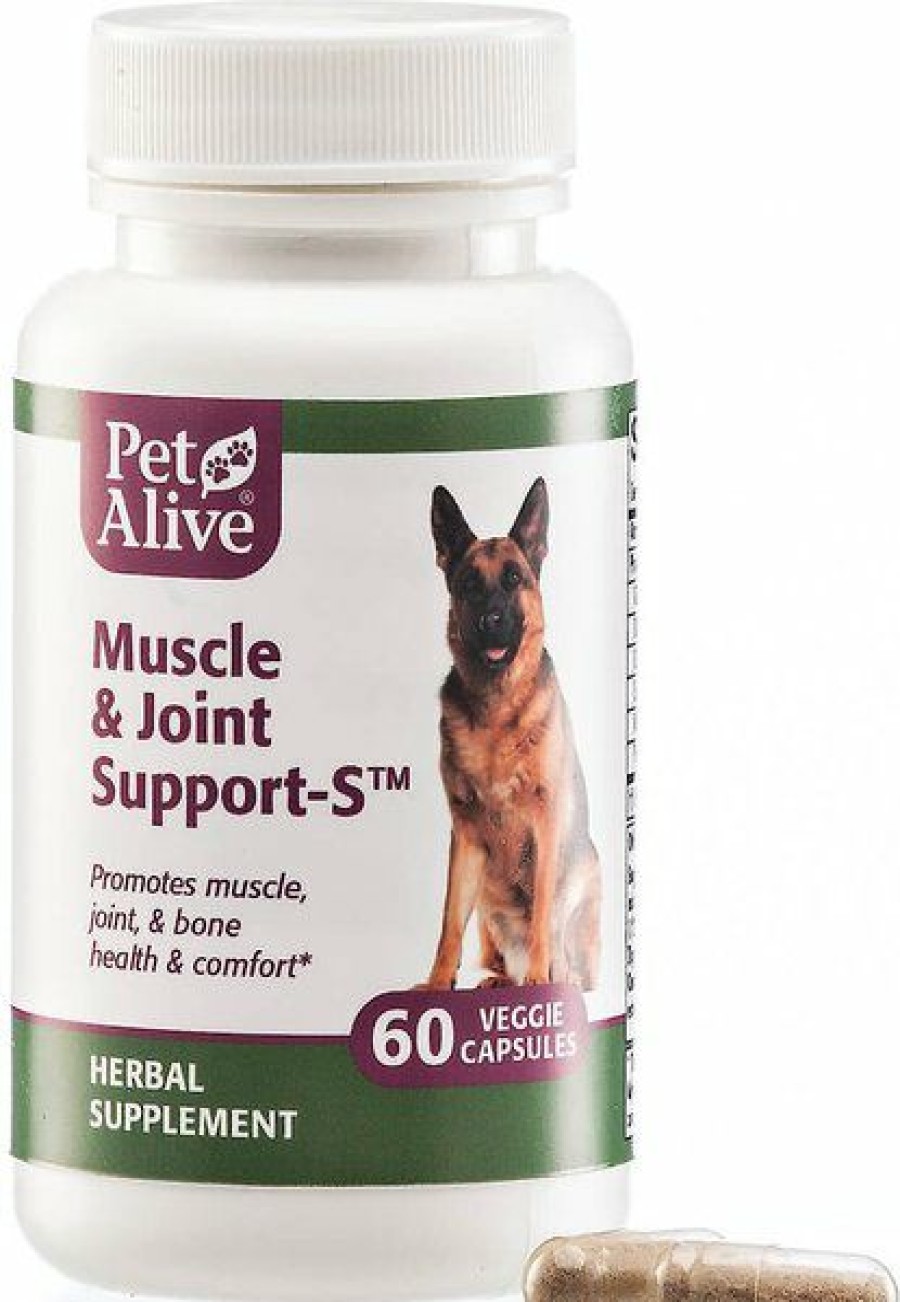 Cat Vitamins & Supplements * | Limited Edition Petalive Muscle & Joint Support-S Dog & Cat Supplement, 60 Count