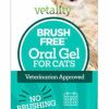 Cat Healthcare * | Shop Vetality Brush Free Oral Gel Dental Care For Cats, 0.88-Oz Bottle